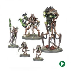 Cour Royale - Nécrons